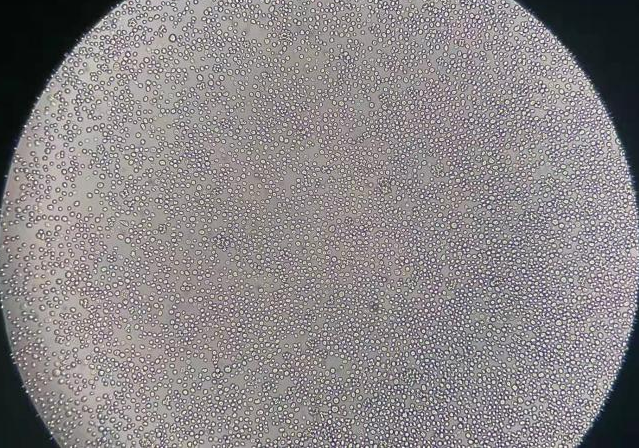1 1
